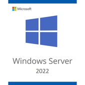 Sistema Operativo Microsoft Windows Server Standard 2022 Spanish 1pk