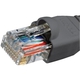 Adquiere tu Cable Patch Cord Cat5e Nexxt 90cm Gris en nuestra tienda informática online o revisa más modelos en nuestro catálogo de Cables de Red Nexxt
