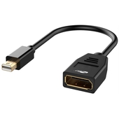 Adaptador Mini DisplayPort a DisplayPort TrauTech 4K 60Hz