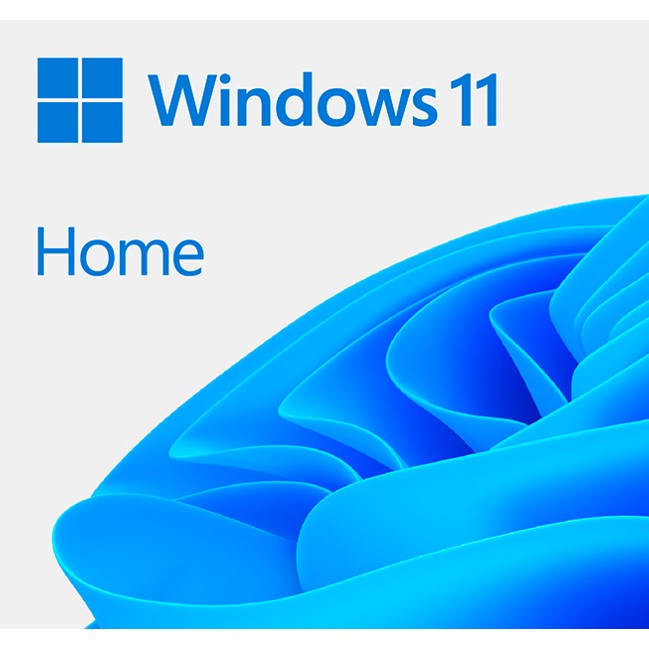 Microsoft Windows 11 Home Esd 64 Bits 4910