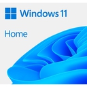 Microsoft Windows 11 Home ESD 64 Bits
