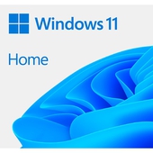 Microsoft Windows 11 Home ESD 64 Bits