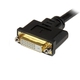 Adquiere tu Cable DVI-I a DVI-D y VGA Hembra StarTech Para Terminales Wyse en nuestra tienda informática online o revisa más modelos en nuestro catálogo de Cables de Video y Audio StarTech