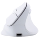 Adquiere tu Mouse Inalámbrico Teros TE-1236S RGB Blanco 6 Botones Rueda en nuestra tienda informática online o revisa más modelos en nuestro catálogo de Mouse Ergonómico Teros