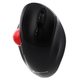 Adquiere tu Mouse Klip Xtreme ErgoBall, inalámbrico, de 400 a 4800 DPI, 7 botones, 2.4 GHz. Negro en nuestra tienda informática online o revisa más modelos en nuestro catálogo de Mouse Ergonómico Klip Xtreme