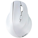 Mouse Inalámbrico Teros TE-1236S RGB Blanco 6 Botones Rueda