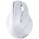 Adquiere tu Mouse Inalámbrico Teros TE-1236S RGB Blanco 6 Botones Rueda en nuestra tienda informática online o revisa más modelos en nuestro catálogo de Mouse Ergonómico Teros
