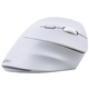 Adquiere tu Mouse Inalámbrico Teros TE-1236S RGB Blanco 6 Botones Rueda en nuestra tienda informática online o revisa más modelos en nuestro catálogo de Mouse Ergonómico Teros